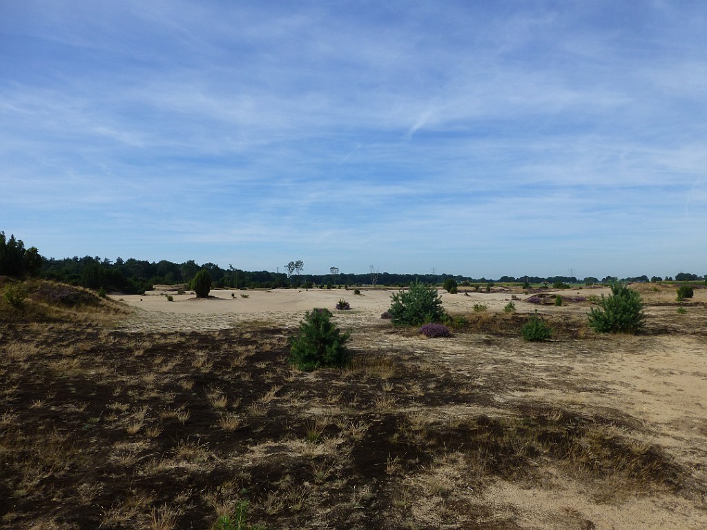 KNNV excursie Lemelerberg [0533].jpg - KNNV excursie Lemelerberg